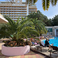 "Новый год в Пицунде + Сочи"